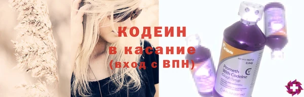 ECSTASY Богданович