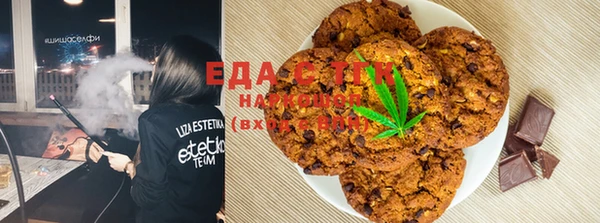 ECSTASY Богданович