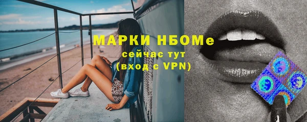 гашик Богородск