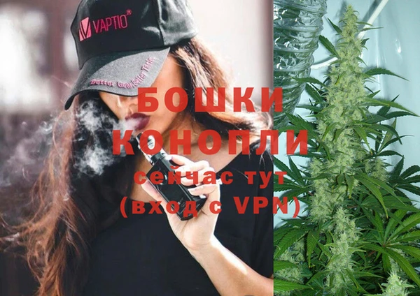 гашик Богородск